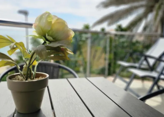 Appartement Edifico Orbiplaya